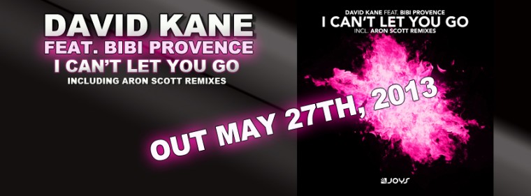 banner david kane