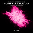 David Kane feat. Bibi Provence - I Can't Let You Go